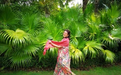 麻豆乱码一卡二卡三卡视频